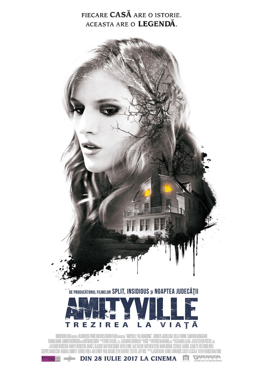 Amityville: Trezirea la viaţă / Amityville: The Awakening