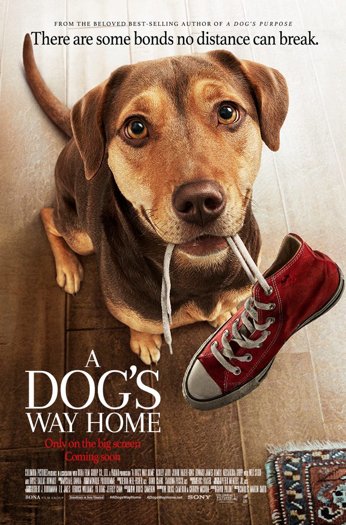 A Dog's Way Home (Drumul unui câine către casă) - 2D Dublat RO